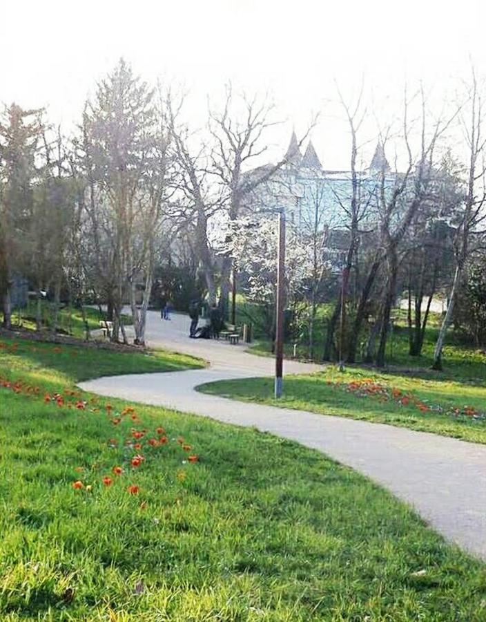 Cosy Appart - Balcon, Parking, Spacieux T2 - Proche Eurexpo Stade Сен-Приест Экстерьер фото